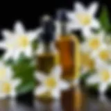 A bottle of pure vanilla oil with a backdrop of vanilla beans and flowers