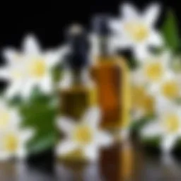 A bottle of pure vanilla oil with a backdrop of vanilla beans and flowers