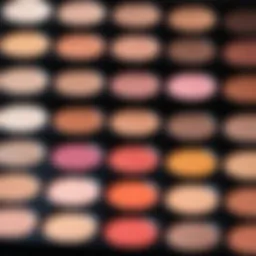 Close-up of a makeup palette showcasing various shades