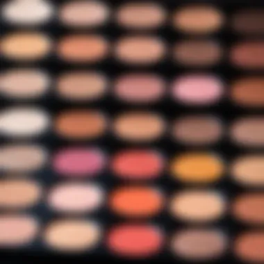 Close-up of a makeup palette showcasing various shades