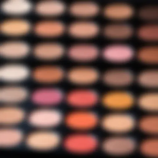 Close-up of a makeup palette showcasing various shades