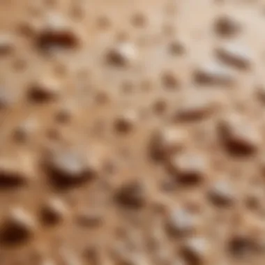 Dry Skin Texture Close-up of dry skin texture with visible flakes