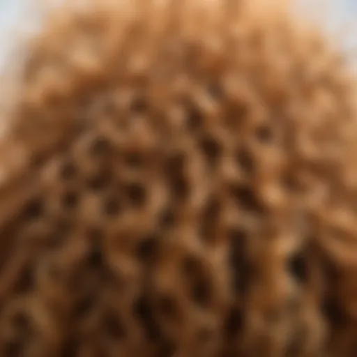 A close-up of frizzy hair highlighting texture and volume.