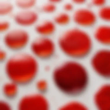 Variety of Red Spots: A Textural Exploration Close-up view of red spots on skin revealing different textures