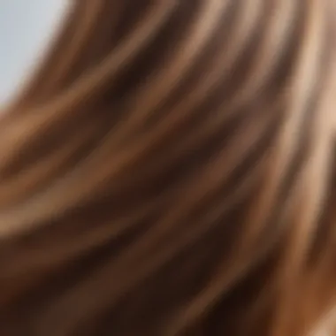 A close-up of lustrous hair reflecting light beautifully.