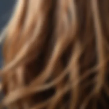 Understanding Hair Tangles A close-up of tangled hair needing care