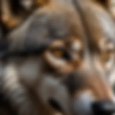 Close-up of wolf cut details highlighting texture and movement